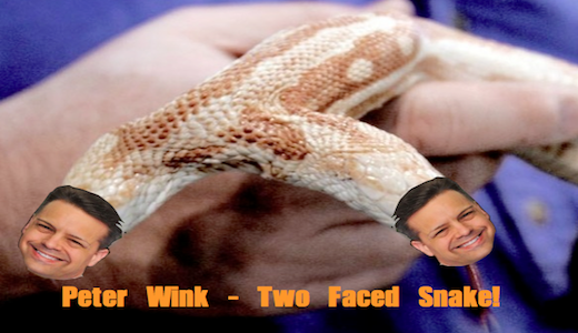 snakewink